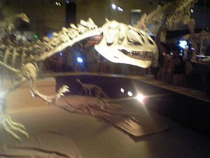 恐竜骨格標本
