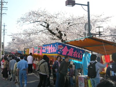 大江川桜祭り