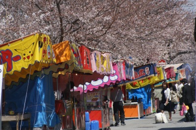 大江川の桜祭り