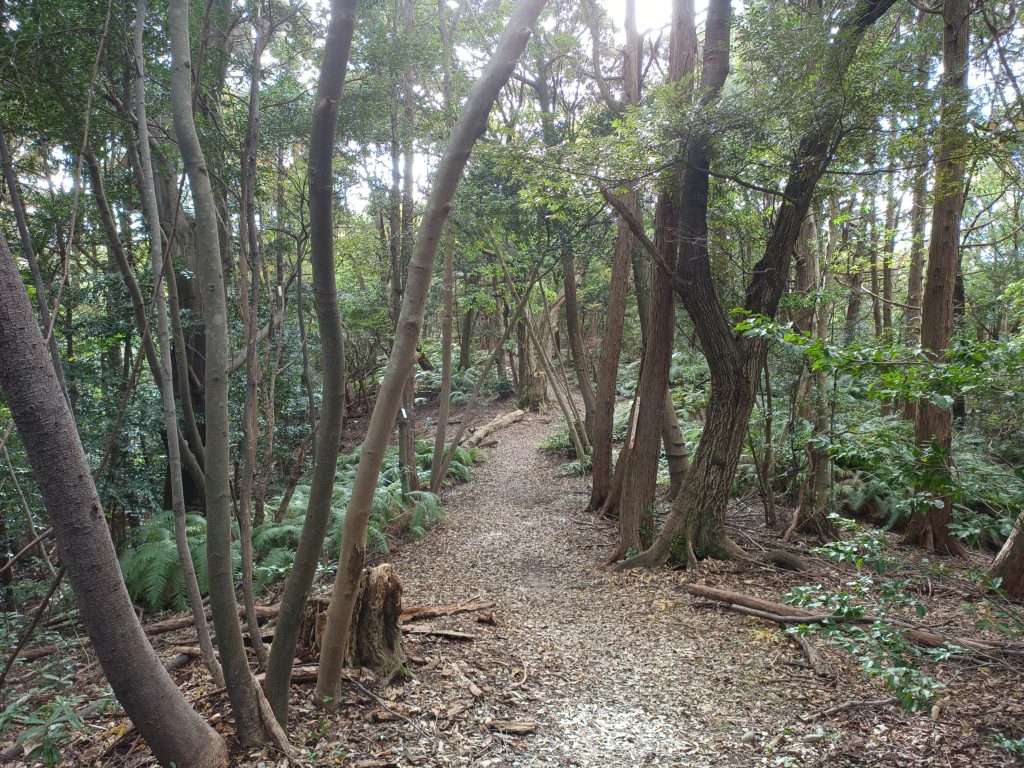 定光寺近くの東海自然歩道