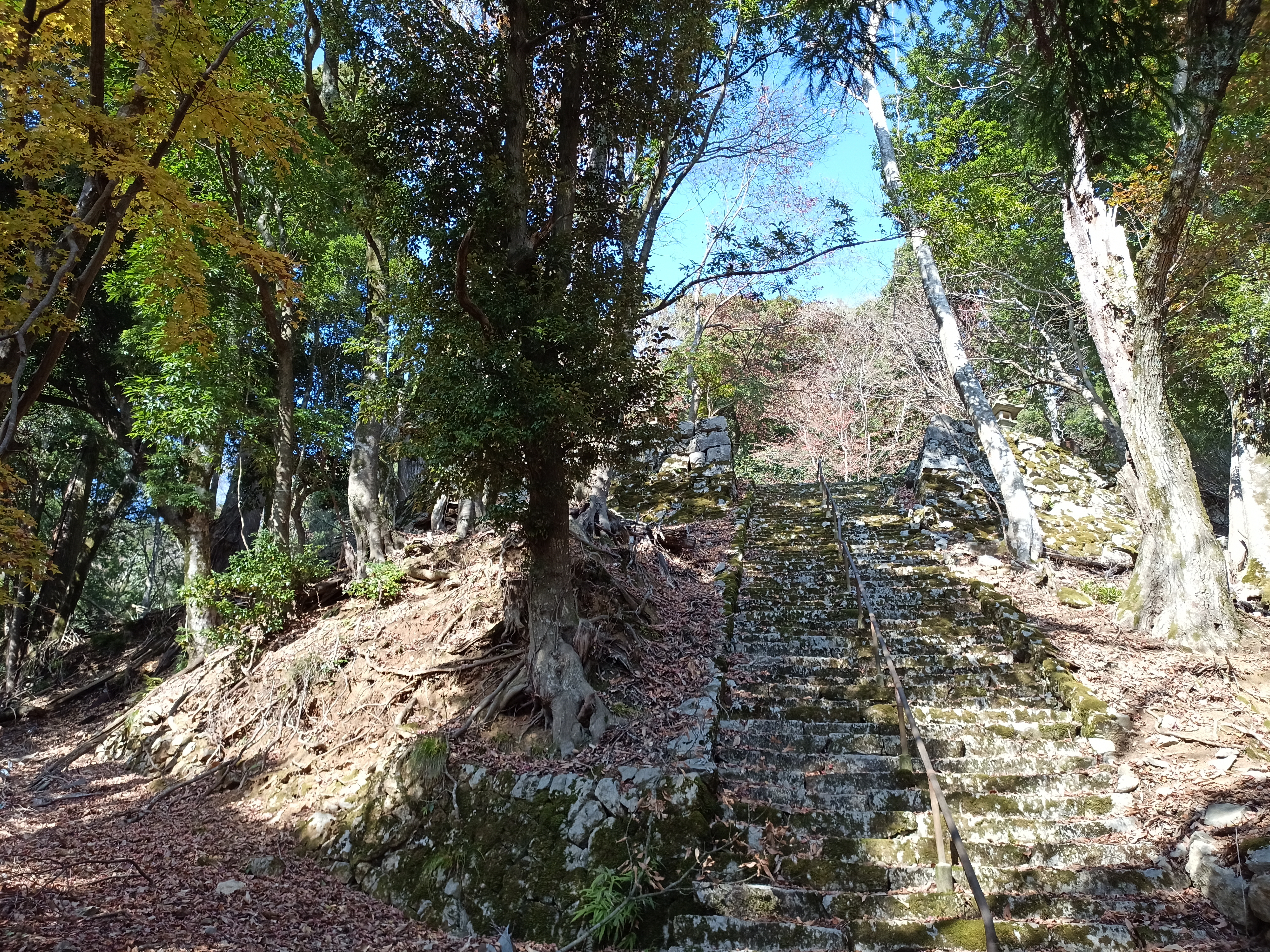 松尾寺遺跡の石段
