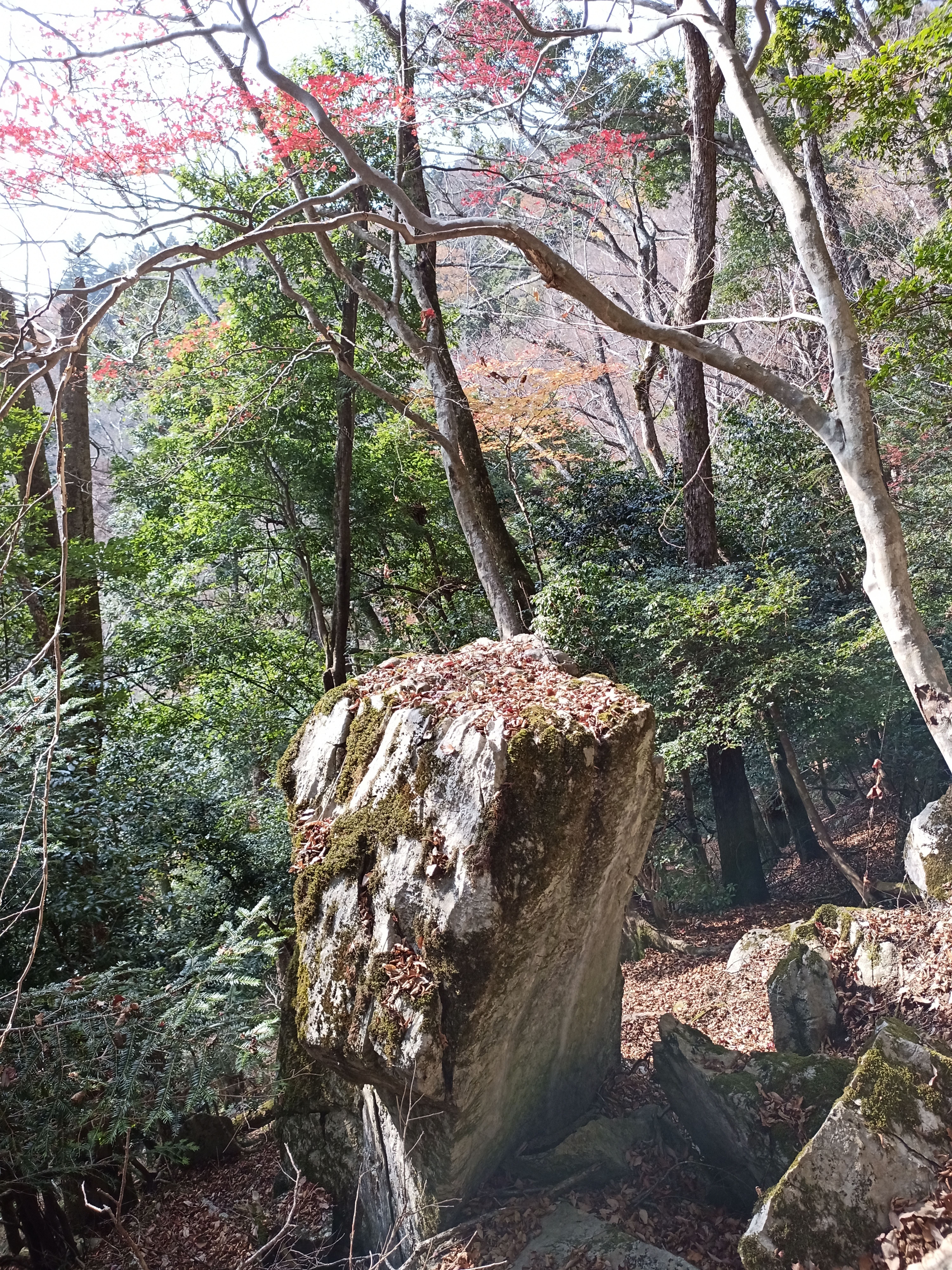 松尾寺遺跡の影向石